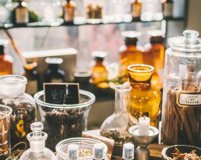 ✅ 쑥 한약재 1g도 놓치지 않는 '유전자 판별법' 등장! 💊