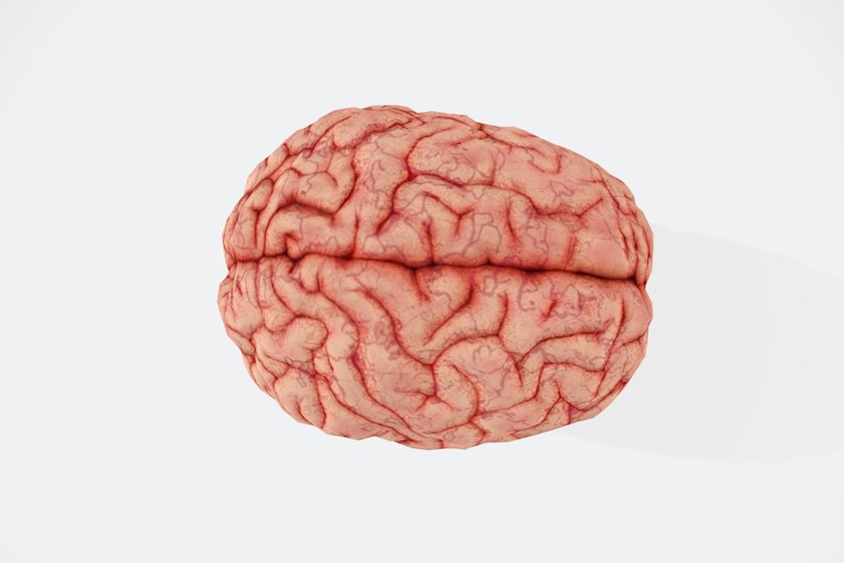 💥 백진희 뇌진탕 고백: 겉으론 멀쩡해도 '이 증상' 나타나면 즉시 응급실 가야 해요! - 이미지 2