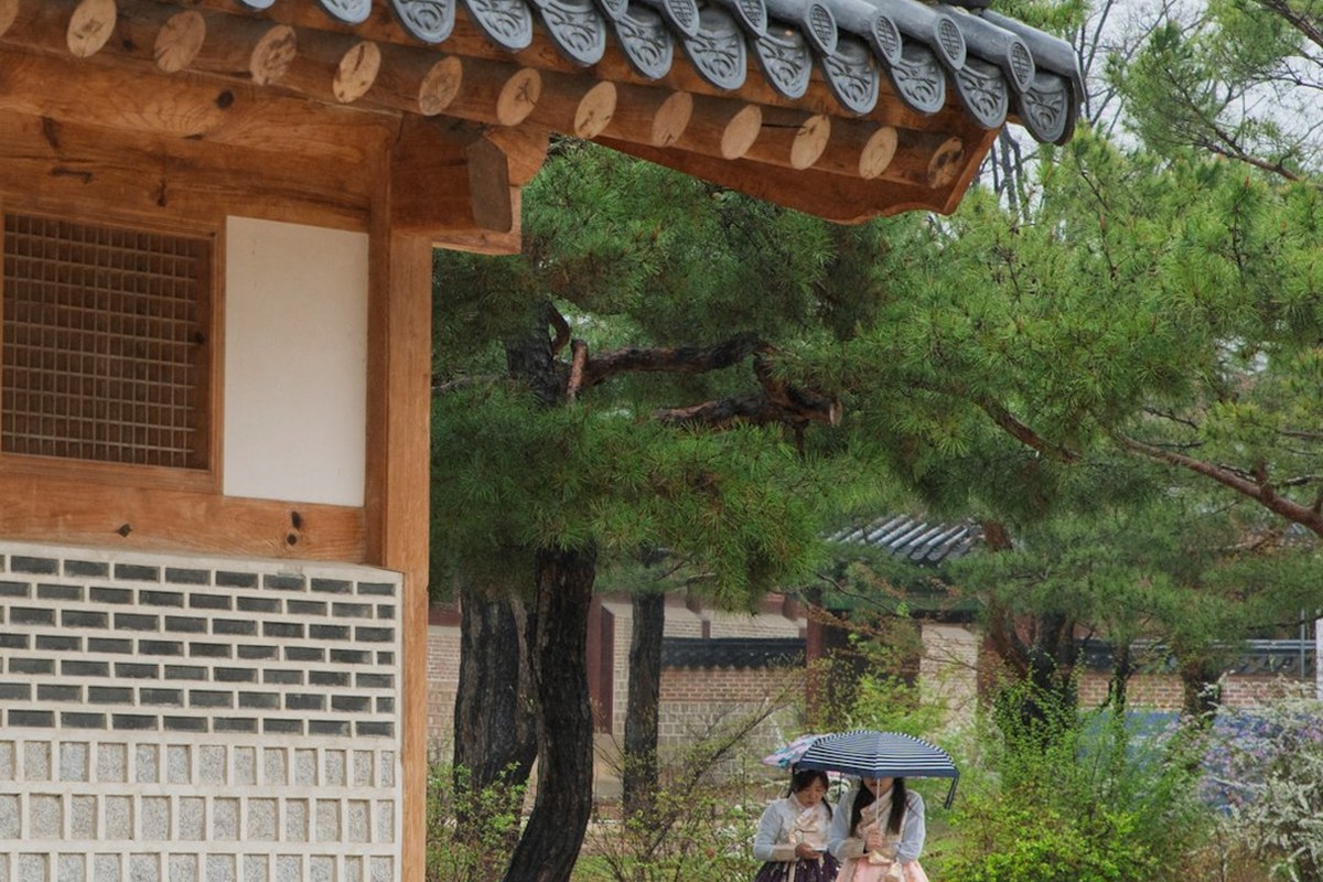 파독 간호사 60주년 관련 이미지 2